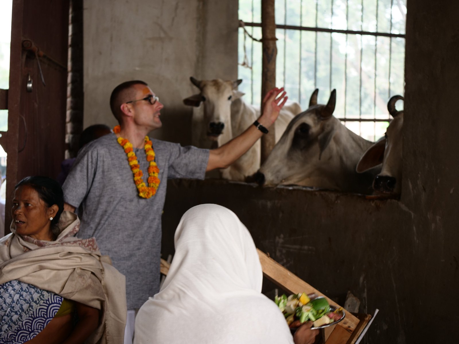  67 Gopashtami Radha kunda Govardhan 19.11.04